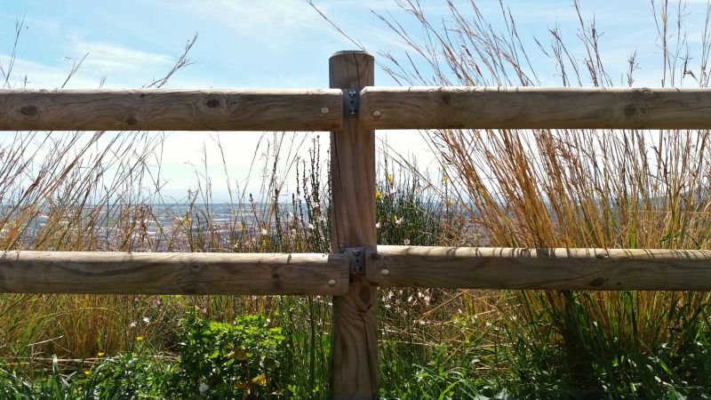 How A Fence Adds Privacy, Security, And Curb Appeal